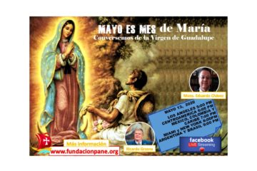 Mayo es mes de María: Virgen de Guadalupe