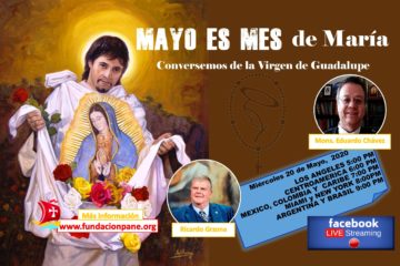 Mayo es mes de María: Virgen de Guadalupe