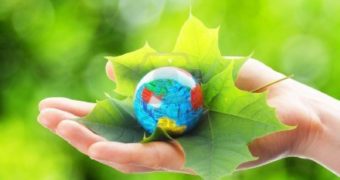 Evangelio del día – Lectio Divina Marcos 2, 23-28 Evangelio del día – Lectio Divina Marcos 2, 23-28