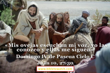 Lectio Divina Dominical IV de Pascua Ciclo C