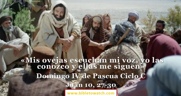 Lectio Divina Dominical IV de Pascua Ciclo C