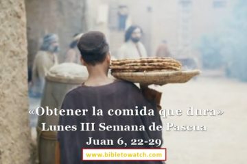 Evangelio del día – Lectio Divina Juan 6, 22-29