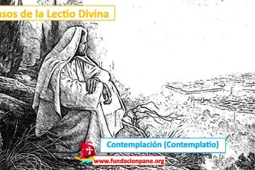 Lectio Divina: Contemplación