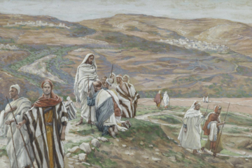 Lectio Divina Domingo XIV del Tiempo Ordinario Ciclo C