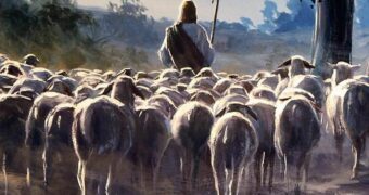 Lectio Divina Dominical IV de Pascua Ciclo A