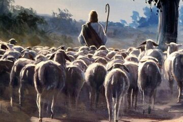 Lectio Divina Dominical IV de Pascua Ciclo A