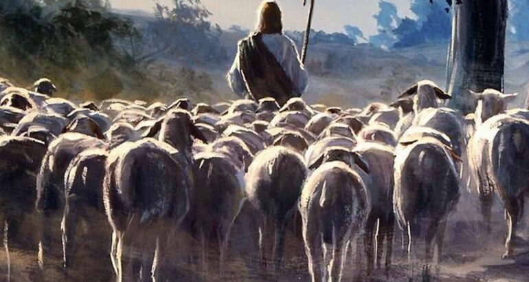 Lectio Divina Dominical IV de Pascua Ciclo A