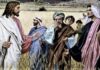 Lectio Divina Dominical XVI del Tiempo Ordinario Ciclo A