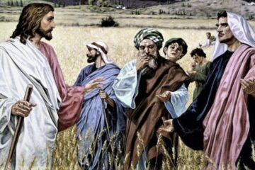Lectio Divina Dominical XVI del Tiempo Ordinario Ciclo A